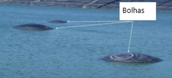 Bolhas (whales) formadas sob a geomembrana em lagoa de tratamento
